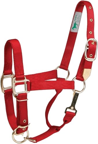 Hamilton Deluxe Horse Halter, 1" Triple Ply Nylon, Adjustable Chin Strap, Easy On/Off Throat Snap, Average Horse, Arabian, or Yearling Draft, 800-1100 lbs, Red - color: Red, size: Average, 800-1100lbs
