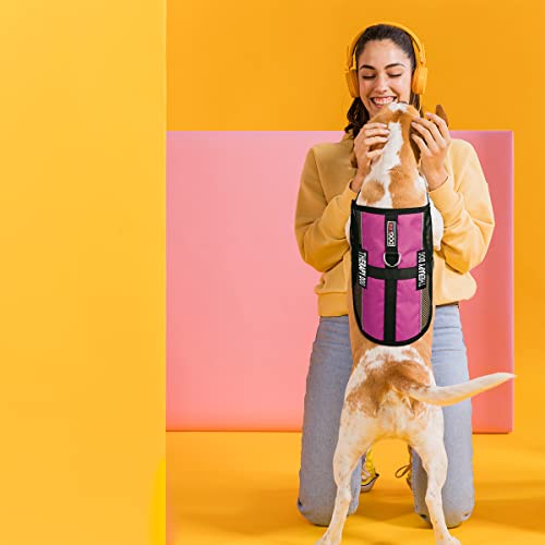Dogline MaxAire Multi-Purpose Mesh Vest for Dogs and 2 Removable Therapy Dog Patches, Small, Pink