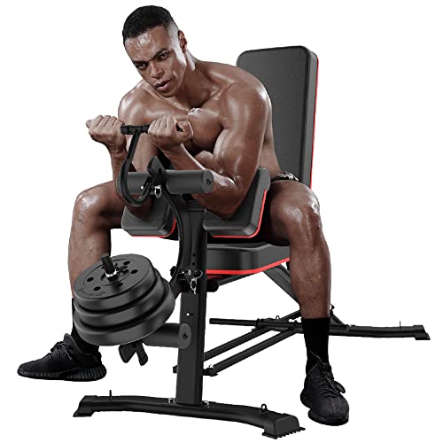 Utility Weight Bench with Leg Extension - Multi-Position Adjustable Bench for Strength Training, Dumbbell Exercise and Ab Workouts