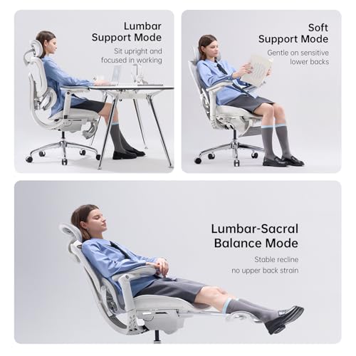SIHOO Doro C300 Pro V2 Ergonomic Office Chair with Footrest, Grey - color: Grey, size: Pack of 1