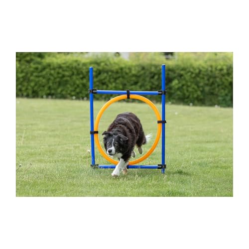 TRIXIE Dog Agility Ring, Portable Dog Hoop, Obstacle Course Equipment, Obedience Training