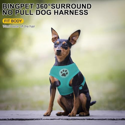BINGPET Small Dog Harness, No Pull Step-in Puppy Pet Vest, Blue - color: aqua blue, size: XS (NECK: 10", CHEST: 10"-14")