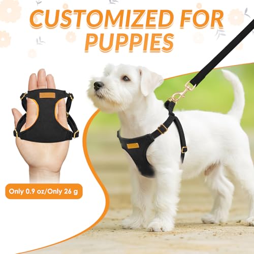 Lukovee No Pull Small Dog Harness and Leash Set - Adjustable Lightweight Soft Puppy Vest, Step-in Pet Harness with 49in Leash for Daily Walking Small Medium Dogs (Black, XS) - color: Black, size: X-Small (4.5-11 lb)