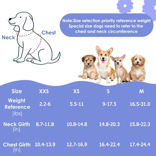 Lukovee No Pull Puppy Harness and Leash Set - Adjustable Lightweight Soft Suede Pet Harness Vest, with Snap Buckle & 51in Leash for Small Medium Dogs (Blue Flower, XXS) - color: ·Blue Flower, size: XX-Small ( 2.2-6lb )