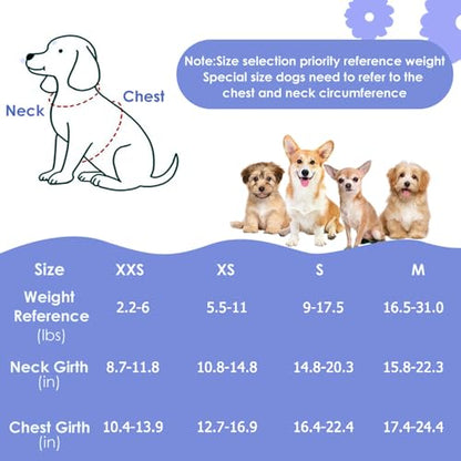 Lukovee No Pull Puppy Harness and Leash Set - Adjustable Lightweight Soft Suede Pet Harness Vest, with Snap Buckle & 51in Leash for Small Medium Dogs (Blue Flower, XXS) - color: ·Blue Flower, size: XX-Small ( 2.2-6lb )