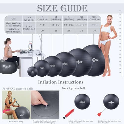 PL-0015 Soft Exercise Ball, Anti-Burst Yoga Ball Chair Supports 2200lbs PL-0015