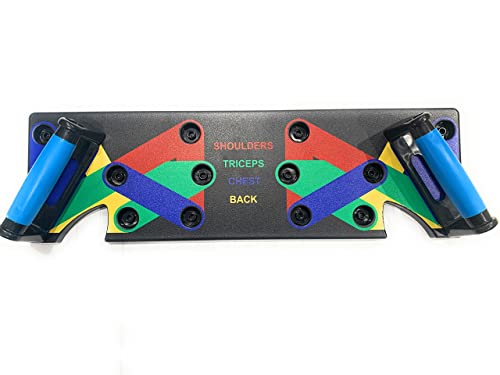 Push Up Board with Labeled Muscle Groups, Multicolor