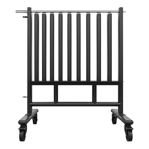Power Systems Premium Dumbbell Storage Rack – Mobile Weight Rack with Wheels, Heavy Duty Steel Organizer for Home Gym, Fitness Studio & Commercial Use, Secure Space Saving Design (Rack Only)