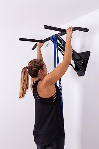Pullup & DIP Fitness Bands, Resistance Bands with Bag, Door Anchor (with Sets) and Exercise Guide - Single & in Value Set, Pull-Up Band Fitness Band for Calisthenics