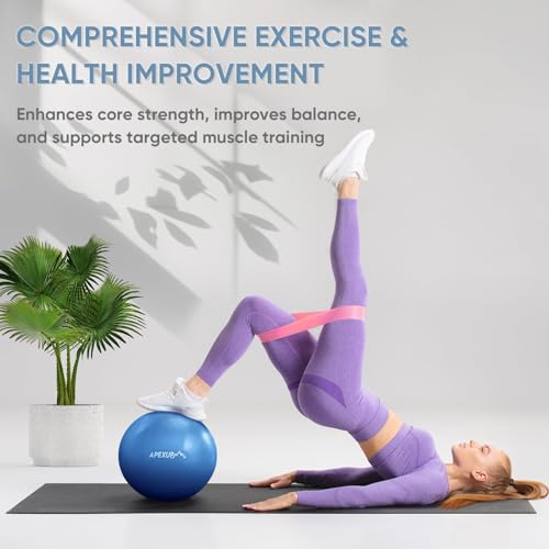 APEXUP 9 Inch Pilates Ball Small Exercise Ball for Yoga, Fitness, Balance, Core Workout, Physical Therapy