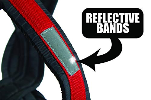 Pro Sled Dog Harness (Red, Large)