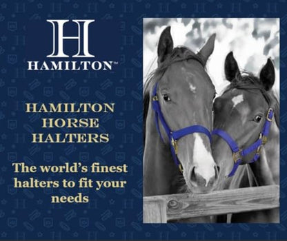 Hamilton Quality Horse Halter, 800-1100 lbs, Berry Blue - color: Berry Blue, size: Average, 800-1100lbs