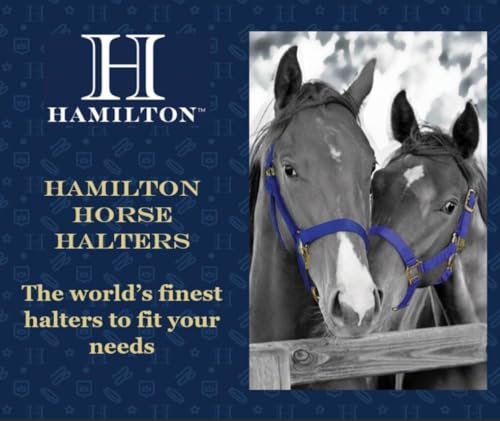 Hamilton Quality Horse Halter, 800-1100 lbs, Graphite - color: Graphite, size: Average, 800-1100lbs
