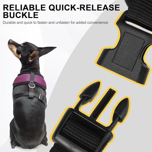 BINGPET Small Dog Harness, No Pull Step-in Puppy Pet Vest, Purple - color: Purple, size: XS (NECK: 10", CHEST: 10"-14")