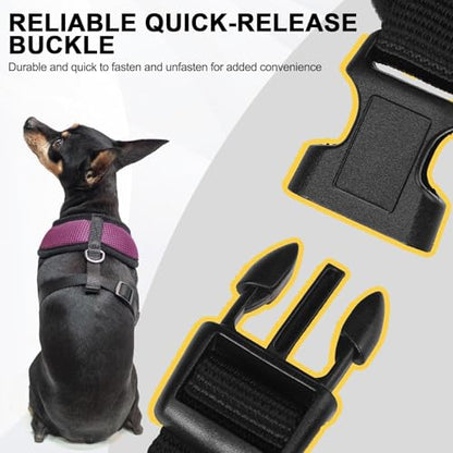 BINGPET Small Dog Harness, No Pull Step-in Puppy Pet Vest, Purple - color: Purple, size: XS (NECK: 10", CHEST: 10"-14")
