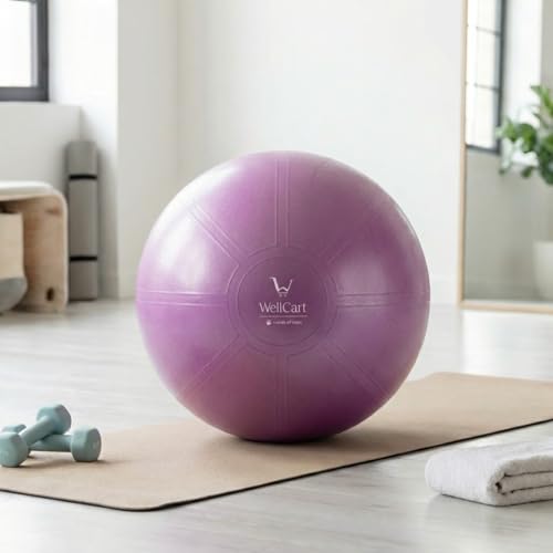 Inflatable Body Balance Ball Kit. Anti-Burst, Yoga-Ball, Luftpumpe, Workout-Program