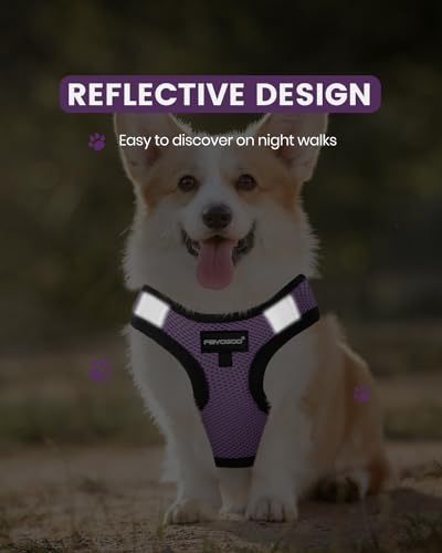 Service Dog Vest for Small Breed - Lightweight Dog Harness with 6PCS Removable Patches - Puppy Harness and Leash Set for Walking,Training