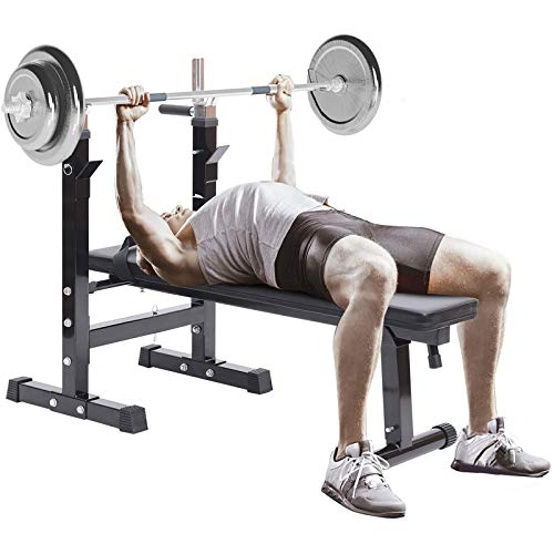 Adjustable Workout Bench, Foldable Sit Up Bench, Weight Bench, Dip Stand, Squat Stand, Home Gym, Bench Press, Workout Equipment for Strength Training