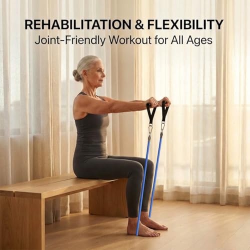 VEICK Resistance Bands Set, 10-150 LBS Stackable Exercise Bands with Handles, Ankle Straps & Door Anchor, Workout Bands for Home Gym, Yoga, Pilates, Physical Therapy for Men Women