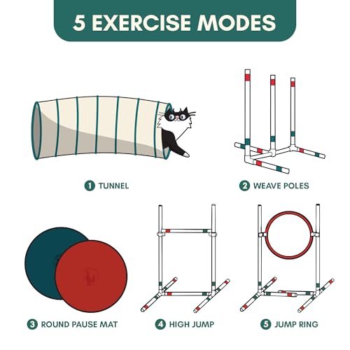 ALBERT & MIA CATGILITY Cat Agility Equipment + Clicker Trainer Guide – Exercise Agility Course – Jumping Hurdles & Hoop, Tunnel (Small Dog & Cat Training) Clicker Training Obstacle Course for Cats