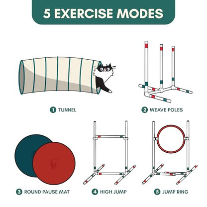 ALBERT & MIA CATGILITY Cat Agility Equipment + Clicker Trainer Guide – Exercise Agility Course – Jumping Hurdles & Hoop, Tunnel (Small Dog & Cat Training) Clicker Training Obstacle Course for Cats