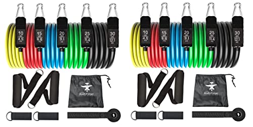 BodyForge Resistance Bands, Exercise Bands, Resistance Bands for Working Out, Work Out Bands with Handles for Men and Women Fitness, Strength Training Home Gym Equipment - size: 2 Pack