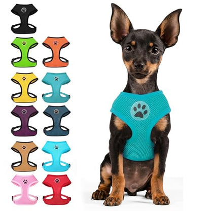 BINGPET Small Dog Harness, No Pull Step-in Puppy Pet Vest, Blue - color: Aqua, size: S (NECK: 12", CHEST: 14"-18")
