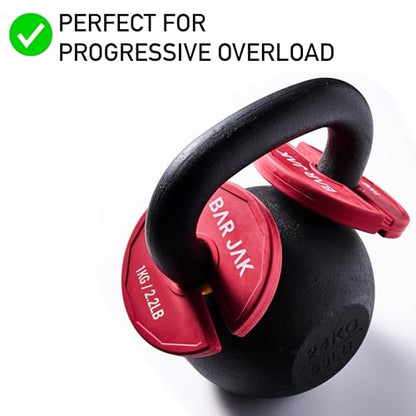 Micro Plates. 1 KG / 2.2 LBS Dumbell Fractional Weight Plate, x4 Pieces, Dumbell Weights, Kettlebell weights Training, Strength Training Micro Plates Weight Plate