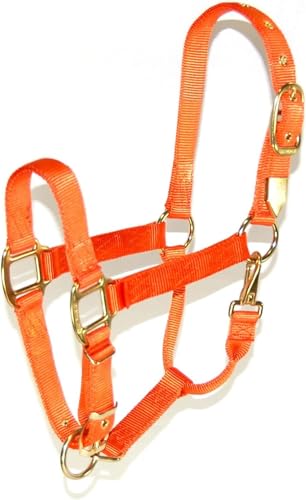 Hamilton Deluxe Horse Halter, 1" Triple Ply Nylon, Adjustable Chin Strap, Easy On/Off Throat Snap, Average Horse, Arabian, or Yearling Draft, 800-1100 lbs, Mango Orange - color: Mango Orange, size: Average, 800-1100lbs