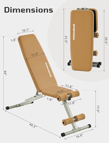 880LB Weight Bench for Home Gym, 8-Position Backrest Adjustable Workout Bench for Strength Training – Incline Decline Flat, Foldable & Compact for Small Space Apartment Room Garage