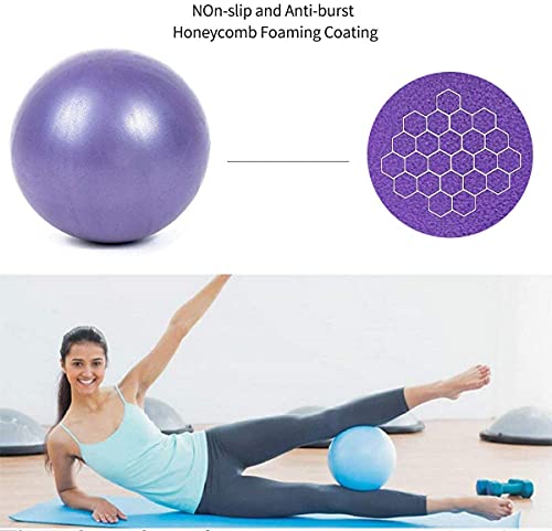 Mini Yoga Balls 6 Inch Exercise Pilates Therapy Balance Micropore Ball Barre Equipment for Home Stability Training Physical Core Training