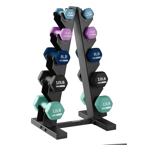 Neoprene Dumbbell Weights Set w/Rack, Home Gym Equipment - Portable Weighted Exercise Dumbbells for Fitness, Training, and Lifting Workouts - color: Blues, size: 76 LB