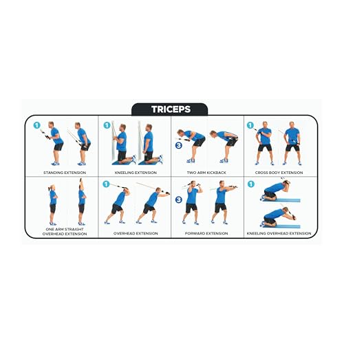 Bodylastics Patented Basic Series Resistance Band Set - Resistance Bands with Snap Reduction Tech, 2 Handles, 2 Ankle Straps, 1 Door Anchor & 1 Carry Bag - color: Workout Guide Poster