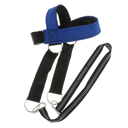 Neck Training Harness for Resistance Workouts with Carabiner and