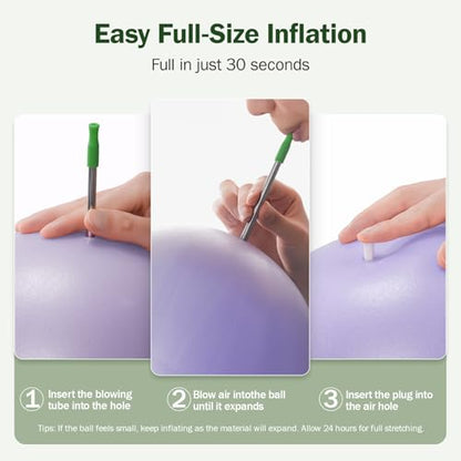 Slim Panda Pilates Ball, 9 Inch Small Exercise Ball, Anti Burst Mini Yoga Ball for Stability, Workout, Barre, Core Strength, Physical Therapy, Balance, Stretching