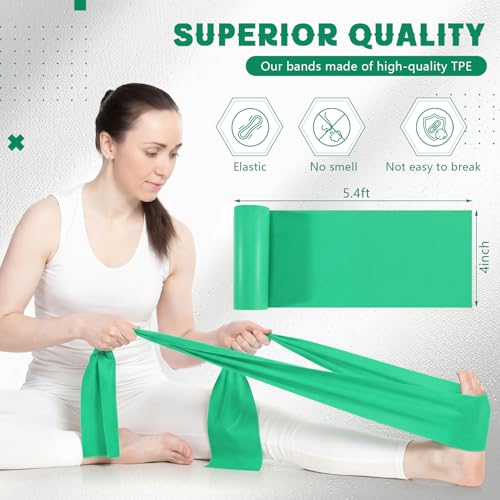 Shappy 10 Pack Resistance Bands, 5.4ft Long Exercise Band Bulk, Non-Latex Elastic Stretch Bands for Physical Therapy, Stretching, Rehab, Yoga, Pilates, Gym, Home Exercise