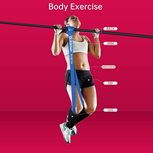 Resistance Bands for Working Out, Exercise Bands, Workout Bands, Pull Up Assistance Bands for Body Stretching Training Physical Therapy Muscle Training for Men & Women