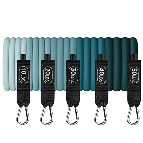 Retrospec Train Resistance Bands Set for Working Out - 5 Stackable Bands, Handles & Door Anchor - Portable Fitness Equipment for Physical Therapy & Yoga Includes Carry Bag