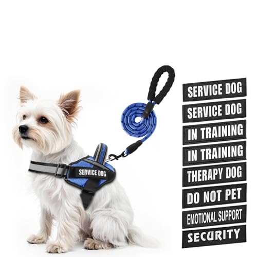 Service Dog Vest Harness and Leash Set, Animire in Training Dog Harness with 10 Dog Patches, Reflective Dog Leash with Soft Padded Handle for Small, Medium, Large, and Extra-Large Dogs