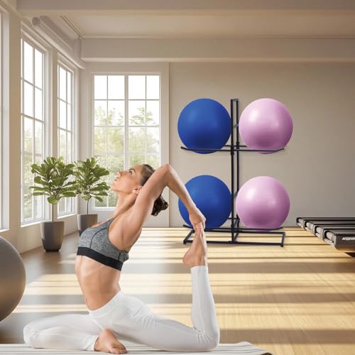 Medicine Ball Rack, Stabilising Ball Rack, Yoga Ball Holder Exercise Ball Holder Equipment Storage Rack for ommercial Gym, Studios, Home Gyms