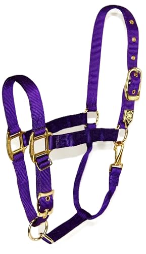 Hamilton Deluxe Horse Halter, 1" Triple Ply Nylon, Adjustable Chin Strap, Easy On/Off Throat Snap, Large Horse or 2 Year Old Draft, 1100-1600 lbs, Purple - color: Purple, size: Large, 1100-1600lbs