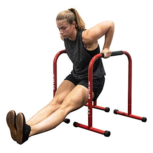 Valor Fitness Non-Slip Dip Station Stands – Bodyweight Exercise Equipment for Dips, L-Sits, Rows, Push-Ups, Pull-Ups Uppr Body Workout - Home Gym Strength Training
