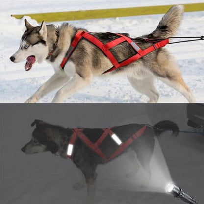Pulling Harness,Nylon Dog Running Harness with Reflective Tape,Water Prevention Sled Reins for Exercise,Bikejoring,Skijoring,Puppy Sledding(XL,Black)