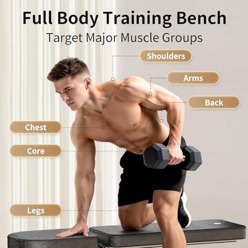 Adjustable Weight Bench for Home Gym, Stable Folding Workout Bench for Dumbbell & Full Body Strength Training