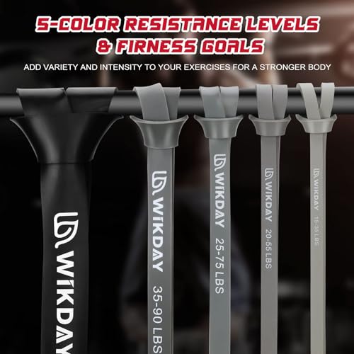 Resistance Bands for Working Out, Exercise Bands, Workout Bands, Pull Up Assistance Bands for Body Stretching Training Physical Therapy Muscle Training for Men & Women