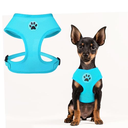 BINGPET Small Dog Harness, No Pull Step-in Puppy Pet Vest, Blue - color: Royal Blue, size: S (NECK: 12", CHEST: 14"-18")