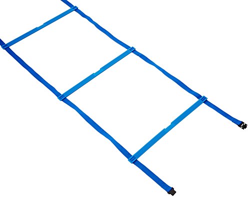 Molten (Morten) Ladder Trainer DX MLDDX
