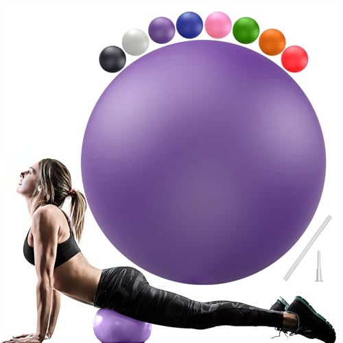 PL-0003 Soft Exercise Ball, Anti-Burst Yoga Ball Chair Supports 2200lbs PL-0003 - color: Purple