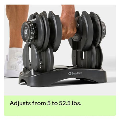 BowFlex Results Series SelectTech Dumbbells - style: Adjustable