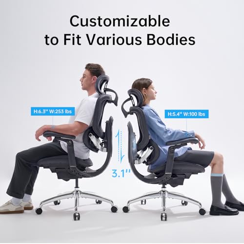 SIHOO Doro C300 Pro V2 Ergonomic Office Chair, 135° Recline, 2 Packs, Black - color: Black, size: Pack of 2